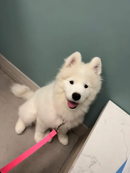 Eleven looking up at the camera beside a counter during her one-year checkup visit