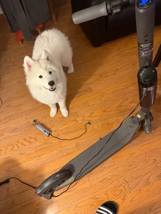 Eleven standing beside Jacky’s scooter during a home repair